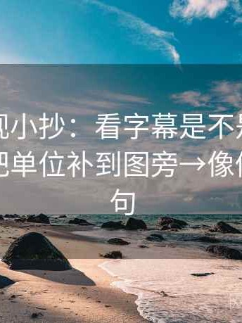 番茄影视小抄：看字幕是不是加重语气→做把单位补到图旁→像做复写一句