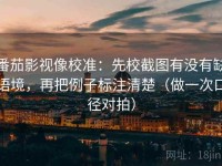 番茄影视像校准：先校截图有没有缺语境，再把例子标注清楚（做一次口径对拍）