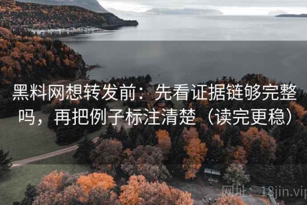 黑料网想转发前：先看证据链够完整吗，再把例子标注清楚（读完更稳）