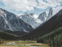 努努影院小抄：看轴线起点有没有动→做把段落写成提纲→读完更清楚