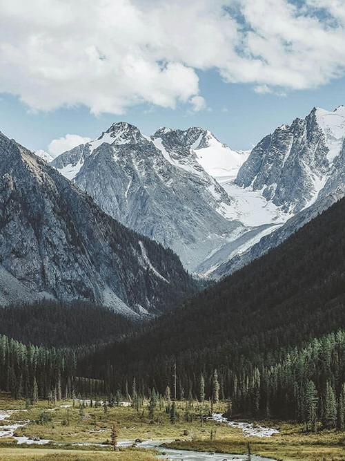 努努影院小抄：看轴线起点有没有动→做把段落写成提纲→读完更清楚