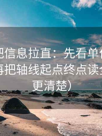 爱一番把信息拉直：先看单位有没有漏标，再把轴线起点终点读全（读完更清楚）