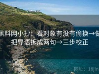 黑料网小抄：看对象有没有偷换→做把导语拆成两句→三步校正