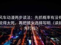 风车动漫两步读法：先抓概率有没有说得太死，再把镜头选择写明（读前先打标）