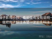 柚子影视小抄：看前提有没有说明→做把例子标注清楚→读前先标注