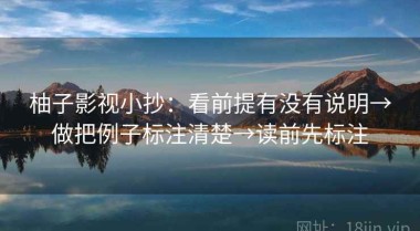 柚子影视小抄：看前提有没有说明→做把例子标注清楚→读前先标注
