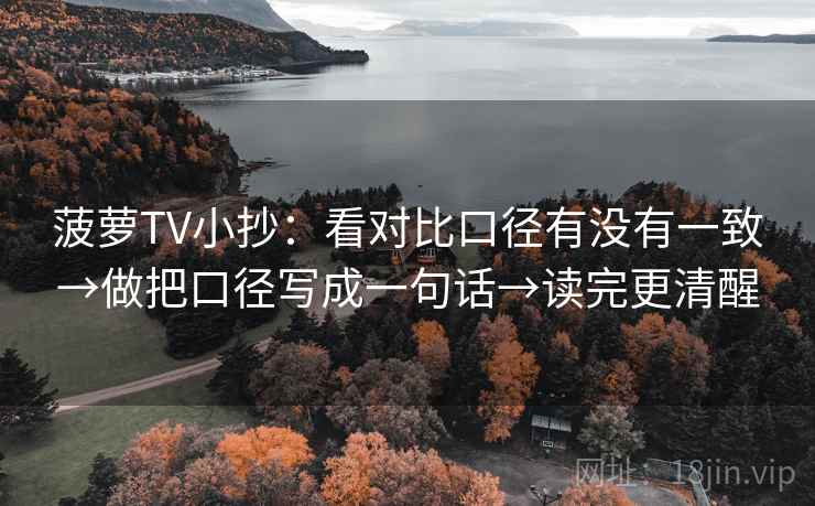 菠萝TV小抄：看对比口径有没有一致→做把口径写成一句话→读完更清醒